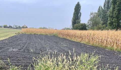 Sale Land – for living, Land – for living, Dunajská Streda, Slovakia