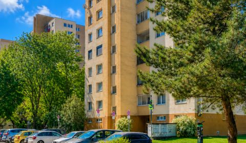 Rent One bedroom apartment, One bedroom apartment, Pankúchova, Bratisl