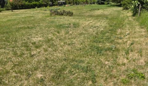 Sale Land – for living, Land – for living, Povoda, Dunajská Streda, Sl