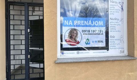 Rent Commercial premises, Commercial premises, Dunajská Streda, Slovak