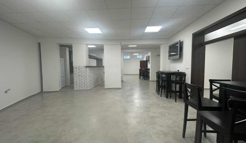 Rent Commercial premises, Commercial premises, Dunajská Streda, Slovak