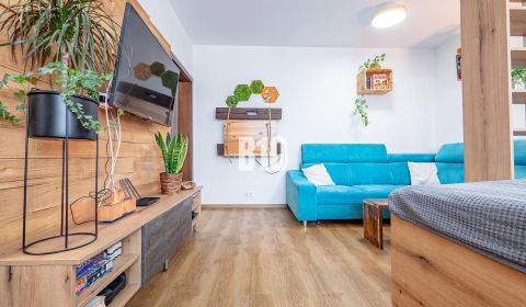 Sale Studio, Studio, Nitra, Slovakia