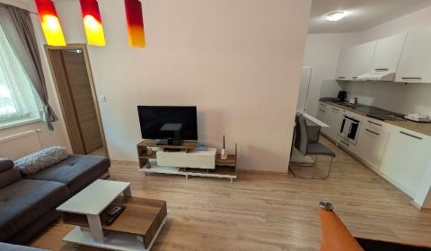 Rent One bedroom apartment, One bedroom apartment, Mateja Bella, Žilin