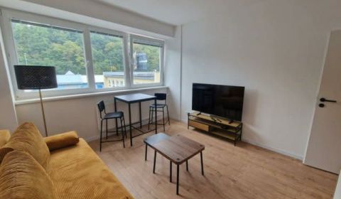 Rent One bedroom apartment, One bedroom apartment, Medený Hámor, Bansk