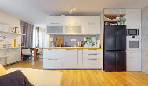 Sale Four+ bedroom apartment, Four+ bedroom apartment, Čiližská, Brati