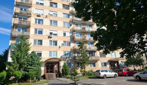 Rent One bedroom apartment, One bedroom apartment, Cyrilometodska, Nov