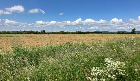 Sale Land – for living, Land – for living, Topoľčany, Slovakia