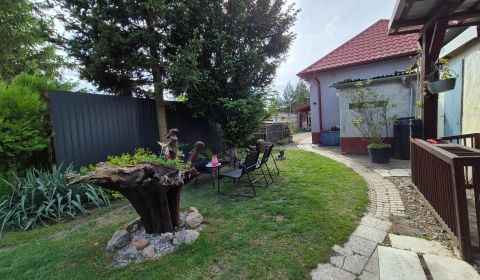 Sale Family house, Family house, Paľovce, Galanta, Slovakia