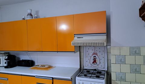 Sale Family house, Family house, Hlohovec, Slovakia