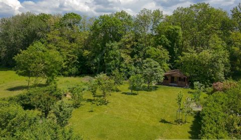 Sale Agrarian and forest land, Agrarian and forest land, Senec, Slovak