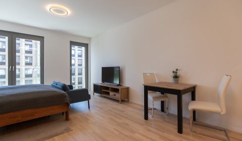 Premium studio apartment with loggia, Metropolis