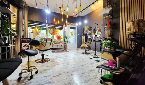 Rent Commercial premises, Commercial premises, Mickiewiczova, Bratisla