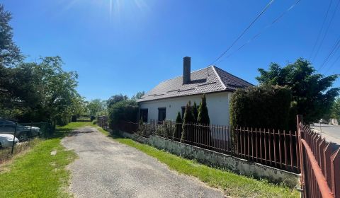 Charming 3-Bedroom Home with Garden and Pool in Topoľnica