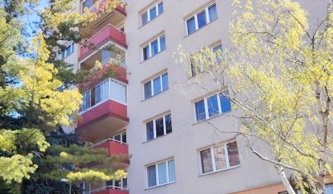 Sale One bedroom apartment, One bedroom apartment, Bratislava - Nové M