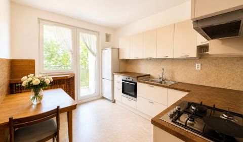 Sale Two bedroom apartment, Two bedroom apartment, L.Novomeského, Pezi