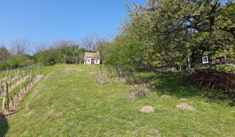 Sale Recreational land, Recreational land, Malacky, Slovakia