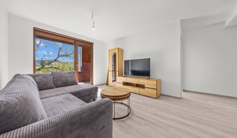 Sale One bedroom apartment, One bedroom apartment, Košická, Bratislava