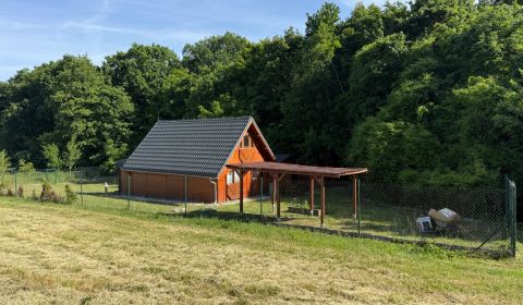Sale Cottage, Cottage, Vinohradnícka, Piešťany, Slovakia