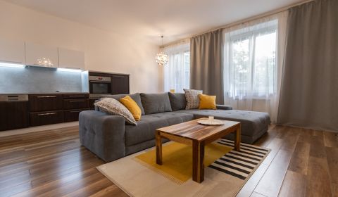 Renovated 1-bedroom apartment, Old Town
