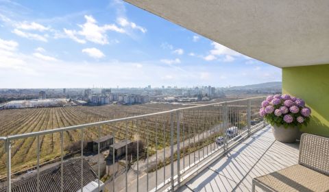 Sale Three bedroom apartment, Three bedroom apartment, Horská, Bratisl