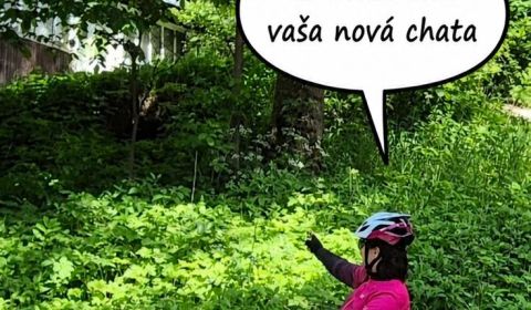 Sale Land – for living, Land – for living, Žilina, Slovakia