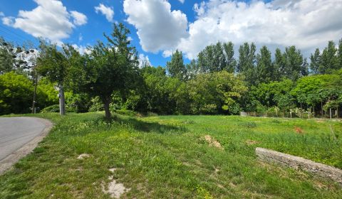 Sale Land – for living, Land – for living, Mlynská, Galanta, Slovakia