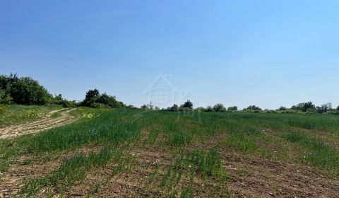 Sale Agrarian and forest land, Agrarian and forest land, Senec, Slovak