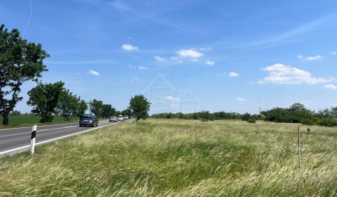 Sale Agrarian and forest land, Agrarian and forest land, Senec, Slovak