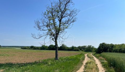Sale Agrarian and forest land, Agrarian and forest land, Senec, Slovak