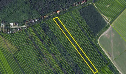 Sale Agrarian and forest land, Agrarian and forest land, Malacky, Slov