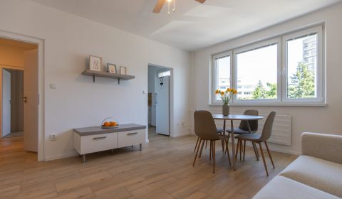 Furnished 1-bedroom apartment with parking, Old Town