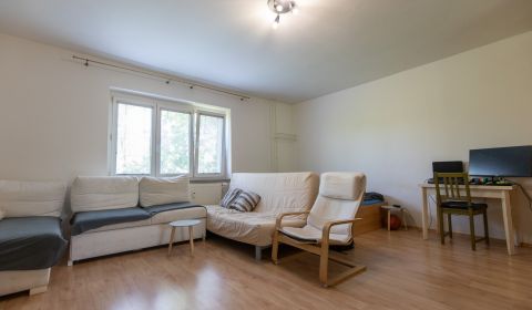 Studio apartment with gallery balcony, Nové Mesto
