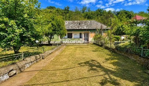 Sale Family house, Levice, Slovakia