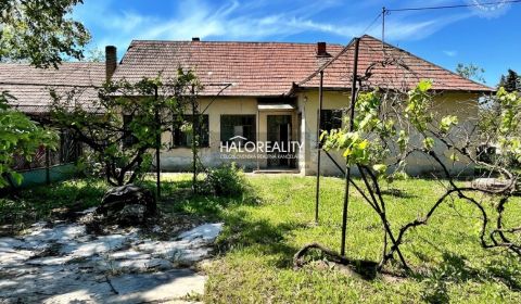 Sale Family house, Levice, Slovakia
