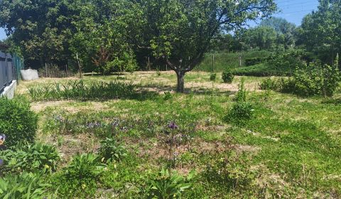 Sale Land – for living, Land – for living, Malacky, Slovakia