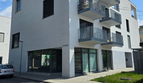 Rent Two bedroom apartment, Two bedroom apartment, Mojmírova, Piešťany