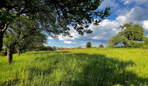 Sale Land – for living, Land – for living, Žilina, Slovakia