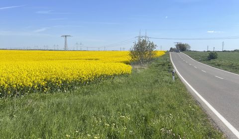 Sale Agrarian and forest land, Agrarian and forest land, Trnava, Slova