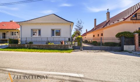 Sale Family house, Family house, Povoda, Dunajská Streda, Slovakia