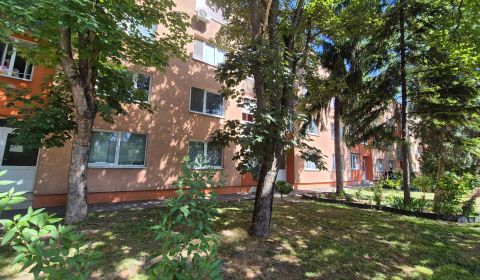 Sale Two bedroom apartment, Two bedroom apartment, Zornička, Galanta, 