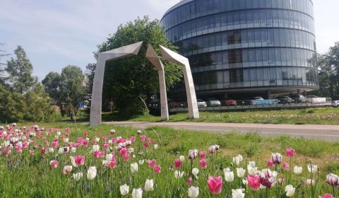 Rent Offices, Offices, Röntgenova, Bratislava - Petržalka, Slovakia