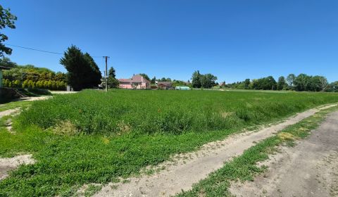 Sale Land – for living, Land – for living, Veselé, Piešťany, Slovakia