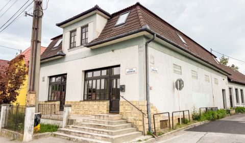 Rent Commercial premises, Commercial premises, Kubranská, Trenčín, Slo