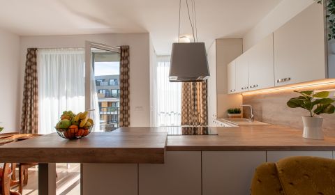 Sale One bedroom apartment, One bedroom apartment, Bajkalská, Bratisla