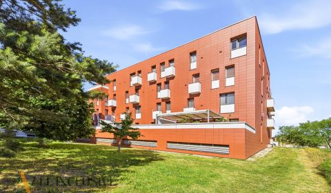 Sale Studio, Studio, Bratislava - Záhorská Bystrica, Slovakia