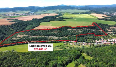 Sale Agrarian and forest land, Agrarian and forest land, Krupina, Slov