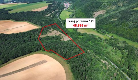 Sale Agrarian and forest land, Agrarian and forest land, Krupina, Slov