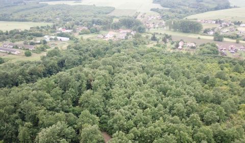 Sale Agrarian and forest land, Agrarian and forest land, Veľký Krtíš, 