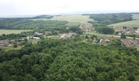 Sale Agrarian and forest land, Agrarian and forest land, Veľký Krtíš, 