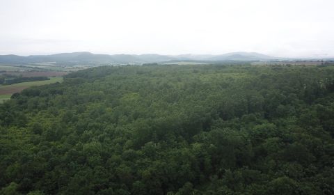Sale Agrarian and forest land, Agrarian and forest land, Veľký Krtíš, 